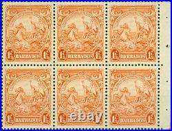 Barbados 1938 1 1/2d Orange Booklet Pane of 6 SG250Var SB7 Fine VLMM/MNH Very